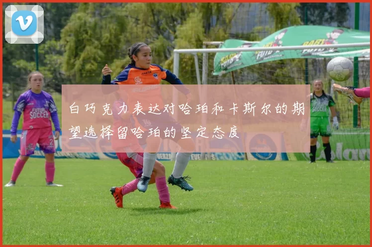 白巧克力表达对哈珀和卡斯尔的期望选择留哈珀的坚定态度